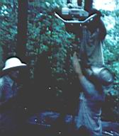 cabin_well_lost_valley_1974-011.jpg